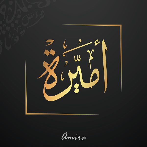 amira-[Converted]